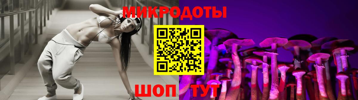 Санкт-Петербург  Галлюциногенные грибы Cubensis  Вход с VPN 